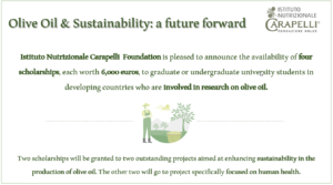 Olive Oil & Sustainability: a future forward