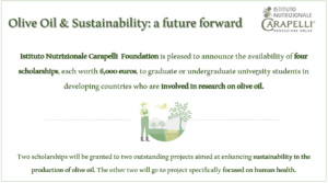 Scopri di più sull'articolo Olive Oil & Sustainability: a future forward